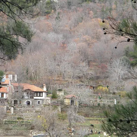 House Rodia Villa Prinos  Exterior photo