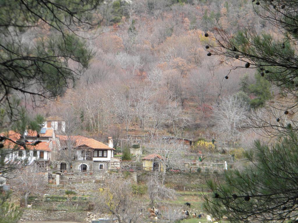 Holiday home House Rodia *